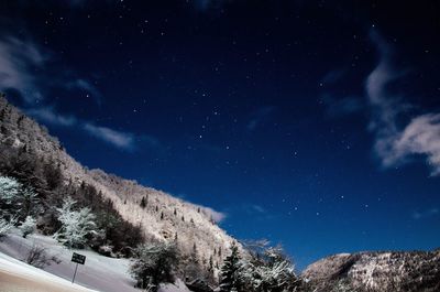 Low angle view of trees against sky at night