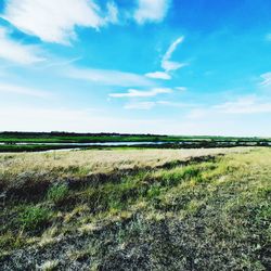 Scenic view of field against sky