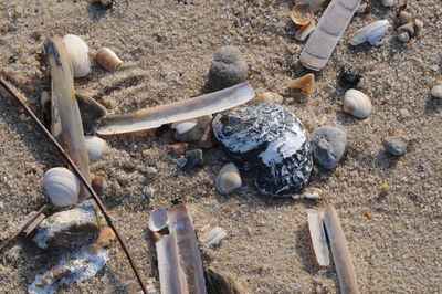 High angle view of stones on shore