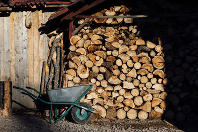 Stack of logs in forest