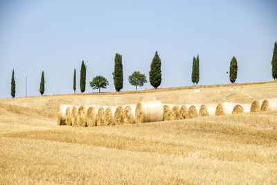 Hay bales on field against clear sky