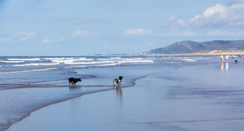 Tourists on beach