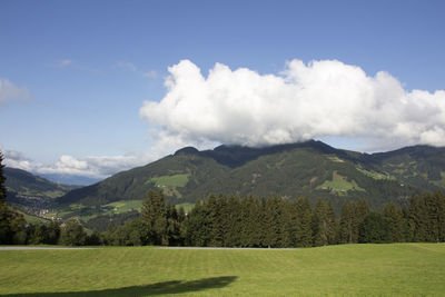 Scenic view of field against sky