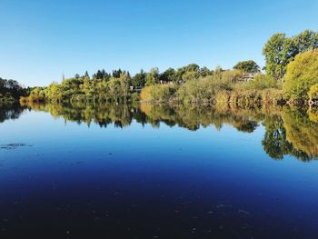 Scenic view of lake against clear blue sky