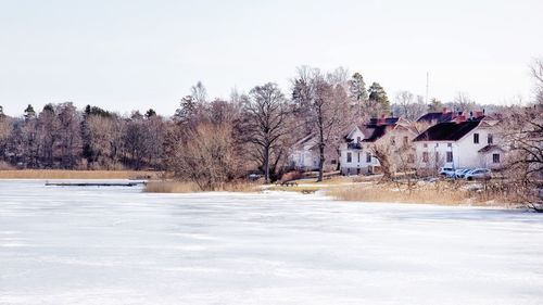 Bare trees and buildings against sky during winter