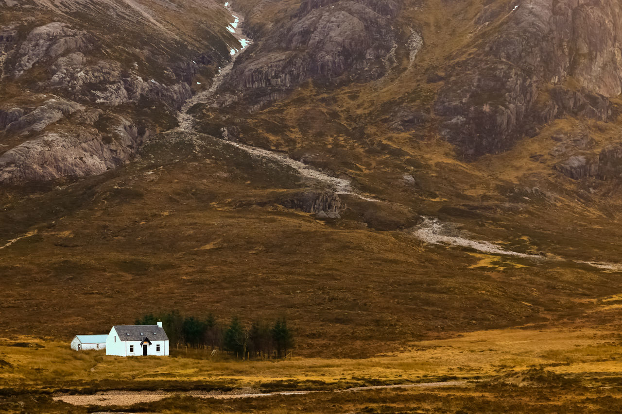 SCENIC VIEW OF LANDSCAPE