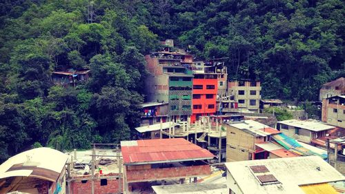 Houses with trees in background