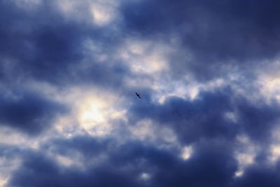 Low angle view of bird flying in sky