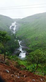 Scenic view of stream