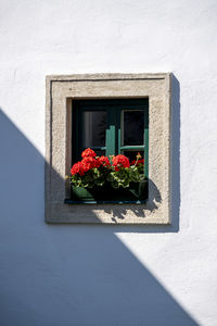 Flower pot against window on white wall