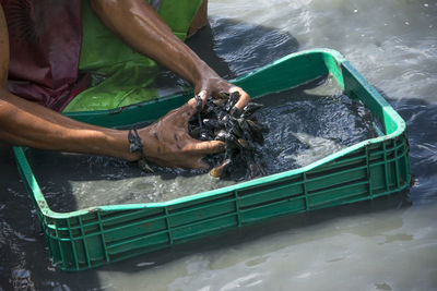 Shellfish gatherers in search of curstaceans for financial support and food for their family.