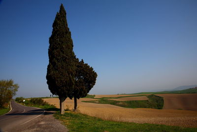 Road amidst trees on field against clear sky