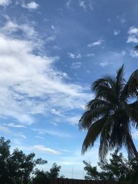 Low angle view of palm trees against sky