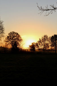 Silhouette trees on field against sky during sunset