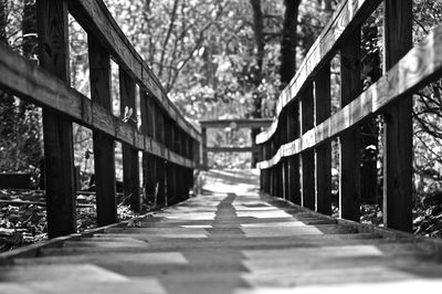 Footbridge amidst trees