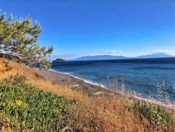 Scenic view of sea against blue sky