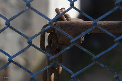 Close-up of chainlink fence seen through wire