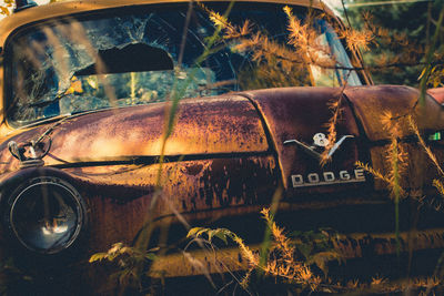 Close-up of rusty car