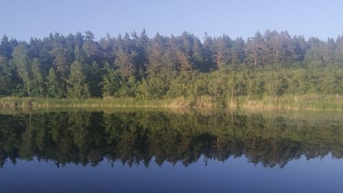 Scenic view of lake by trees against sky
