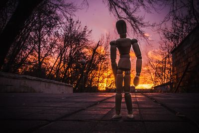 Rear view of silhouette man standing by bare trees at sunset