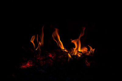 Close-up of bonfire at night