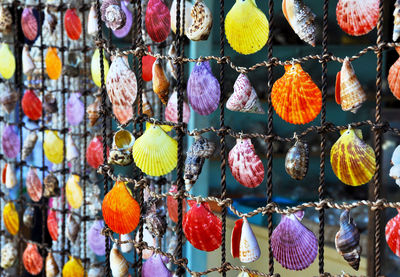 Close-up of multi colored for sale in market