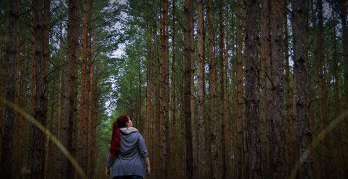Rear view of woman standing amidst trees in forest