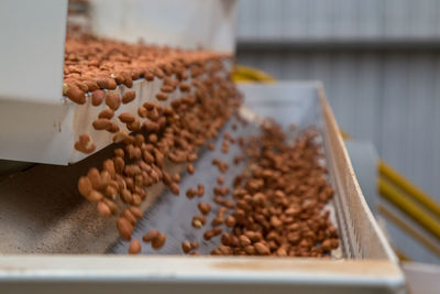 Close-up of chocolate cake on table