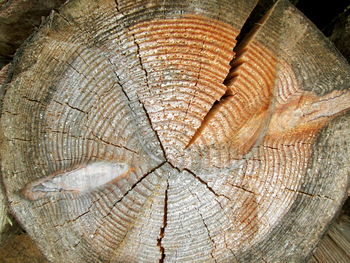 Full frame shot of wood