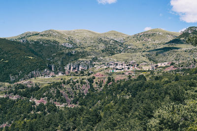 Landscape of the mountains, in spain. a sunny summer day with green trees