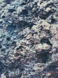 Full frame shot of rocks on tree trunk