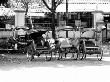 Horse cart on street in city