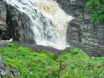 Scenic view of waterfall in forest