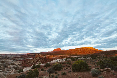 First light hits red sandstone buttes above the maze, canyonlands utah