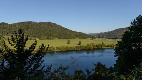 Scenic view of lake and trees against clear sky