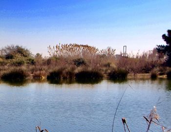 Scenic view of lake against clear blue sky