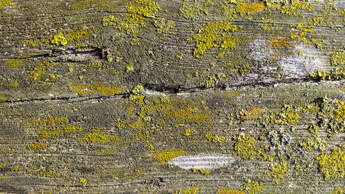 Full frame shot of textured wall