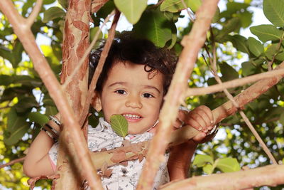 Portrait of cute girl in tree