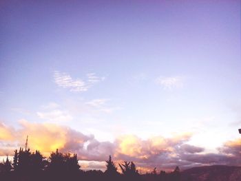 Low angle view of trees against sky at sunset