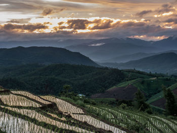 Scenic view of agricultural field against sky during sunset