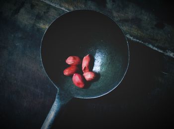 High angle view of tomatoes in plate