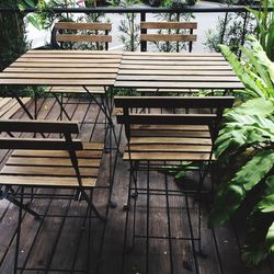 Chairs and trees against plants