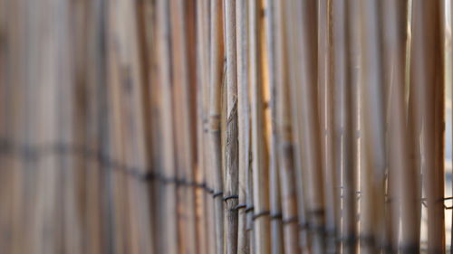 Full frame shot of bamboo fence