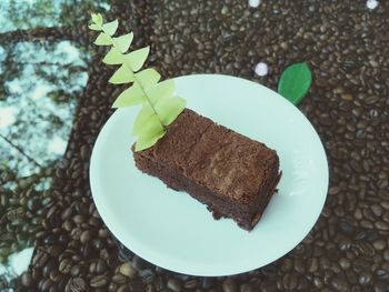 Close-up of fern on brownie at glass table with roasted coffee beans