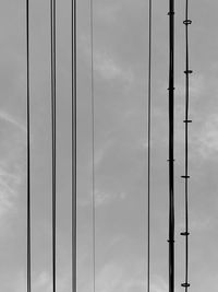 Low angle view of power lines against sky