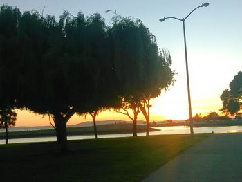 Palm trees at sunset