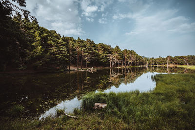 Scenic view of lake by trees against sky