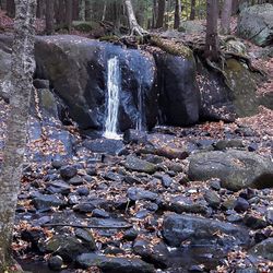 Scenic view of waterfall