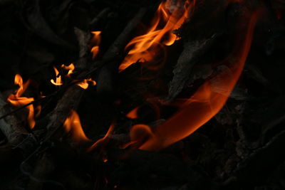 Close-up of fire in the dark