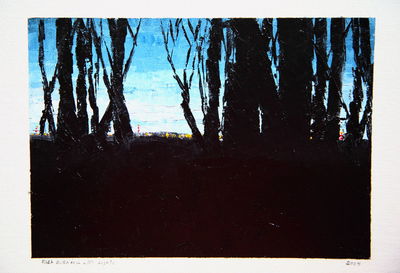 Trees in the dark